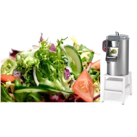 commercial vegetable dryer|salad washer dryer.